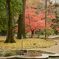 Orto Botanica Padua